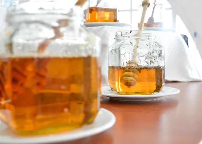 מלון Elitsa אלבנה