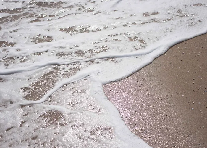 Elitsa מלון אלבנה